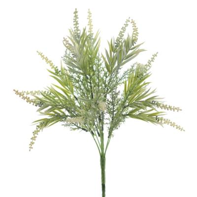 RAMO LAVANDA X8 CREMA