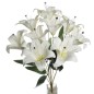 RAMO LILIUM TACTO BLANCO