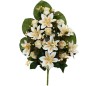 CONJUNTO CAP-LILIUM (A) X15 -57 CM CREMA