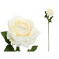 VARA ROSA OPEN (A)- 68 CM CREMA