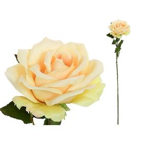 VARA ROSA OPEN (A)- 68 CM BEIGE