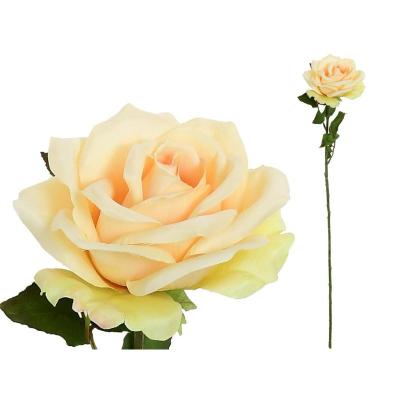 VARA ROSA OPEN (A)- 68 CM BEIGE
