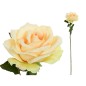 VARA ROSA OPEN (A)- 68 CM BEIGE