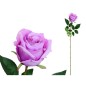 VARA CAPULLO CLASIC (S) 78 CM VIOLETA