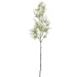 VARA LAVANDA CREMA