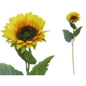 VARA GIRASOL X1 D 13 CM X 60 CM