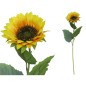 VARA GIRASOL X1 D 13 CM X 60 CM