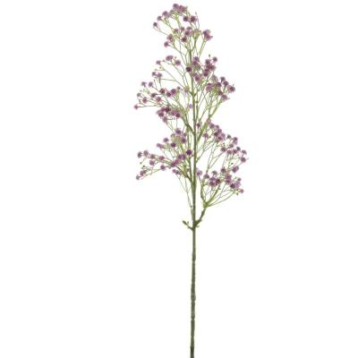 GUISOPHILA LAVANDA
