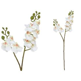VARA ORQUIDEA X10 R/TOUCH-63 CM BLANCO