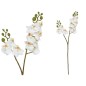 VARA ORQUIDEA X10 R/TOUCH-63 CM BLANCO