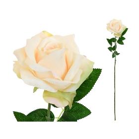 VARA ROSA OPEN-68 CM MARFIL