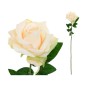 VARA ROSA OPEN-68 CM MARFIL