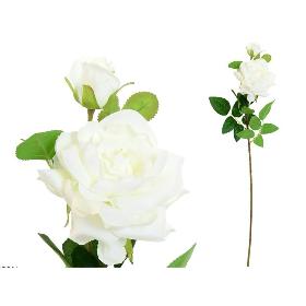 VARA CAMELIAS X2-63 CM BLANCO