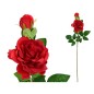 VARA CAMELIAS X2-63 CM ROJO
