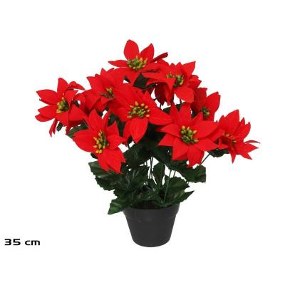 MACETA POINSETIA X12 35 CM