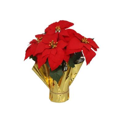 MACETA POINSETIA C/PAPEL 45 CM R