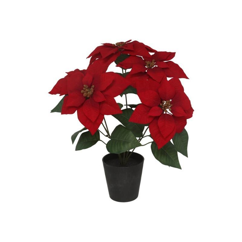 MACETA POINSETIA C/PAPEL 54 CM R