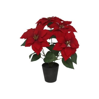 MACETA POINSETIA C/PAPEL 54 CM R