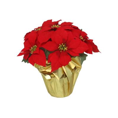 MACETA POINSETIA C/PAPEL 34 CM ROJA