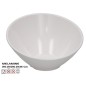 BOWL OASIS BLANCO 26.2 CM