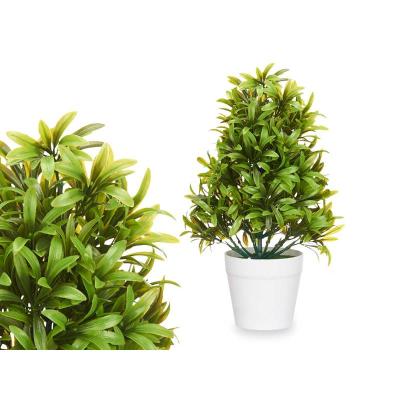 PLANTA GRANDE VERDE HOJAS FINAS MACETA