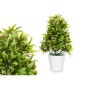 PLANTA GRANDE VERDE HOJAS FINAS MACETA PLANTA GRANDE VERDE HOJAS FINAS MACETA