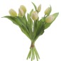 ATADO TULIPANES BLANCO