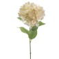 HYDRANGEA BEIGE