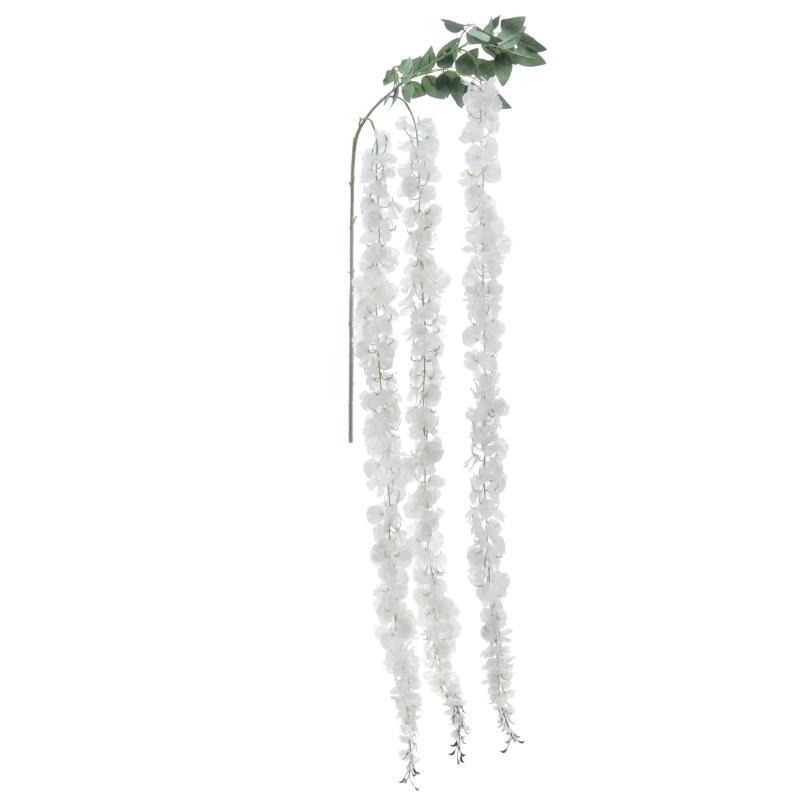 WISTERIA CREMA WISTERIA CREMA