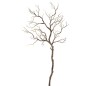 TWIG MARRON