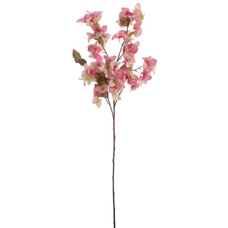 BOUGANVILLEA FUCSIA