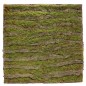 CUADRADO JARDIN 1 MT X 1MT
