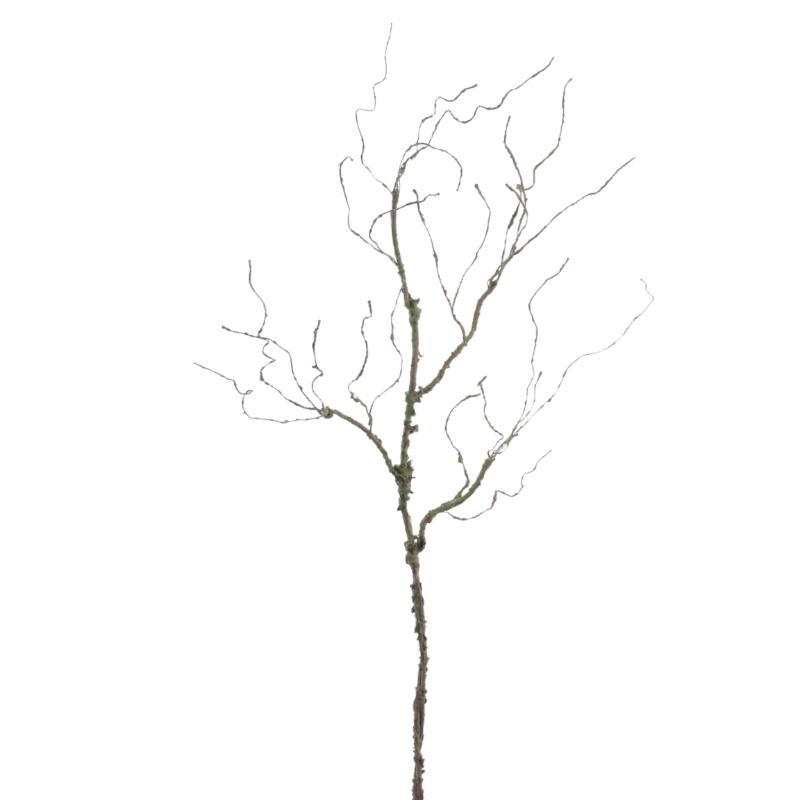 RAIZ NATURAL