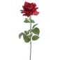 ROSA DIAMANTE REAL TOUCH ROJO