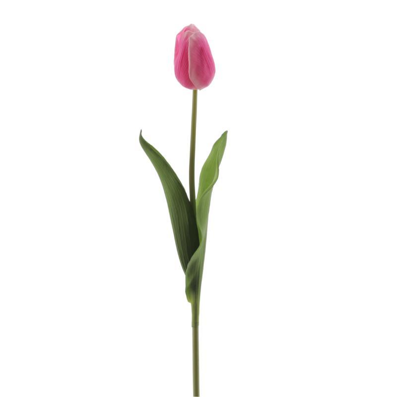 TULIPAN REACH TOUCH FUCSIA