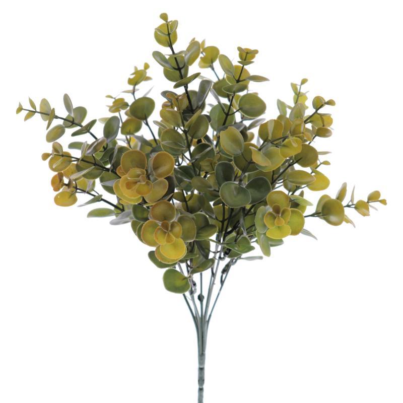 RAMO EUCALIPTUS VERDE