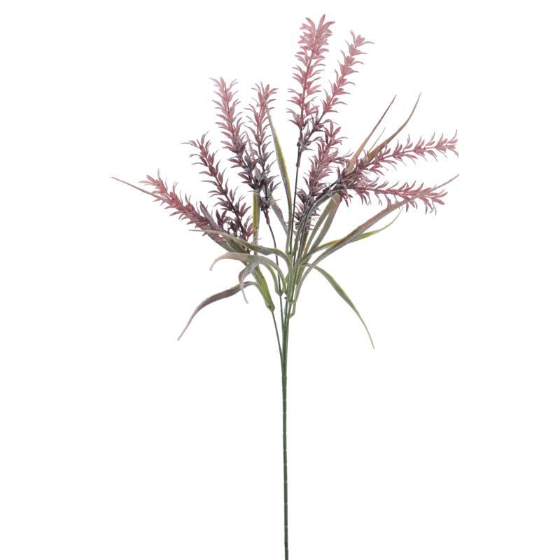 SECALA FUCSIA