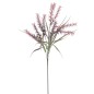 SECALA FUCSIA