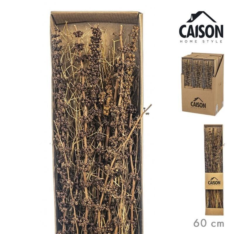 CONJUNTO FLORES PRESERVADAS PALANG 60 CM