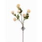 RANUNCULO X9 70 CM BEIGE