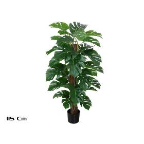 PLANTA MONSTERA X33 T/COCO 115 CM