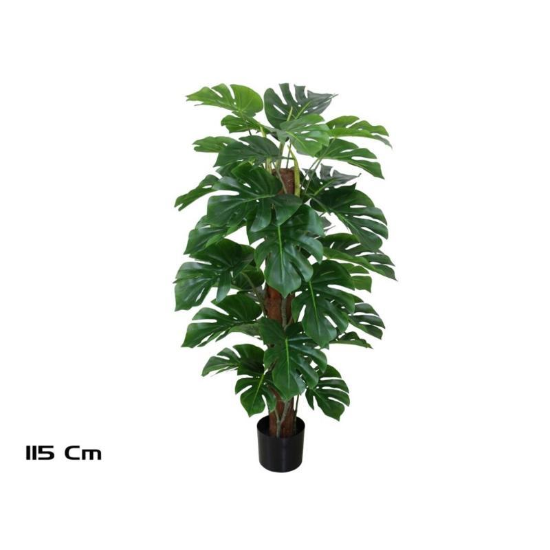 PLANTA MONSTERA X33 T/COCO 115 CM