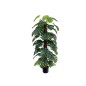 PLANTA MONSTERA X48 T/COCO 152 cm