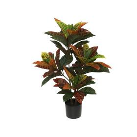 MACETA CROTON 77 CM