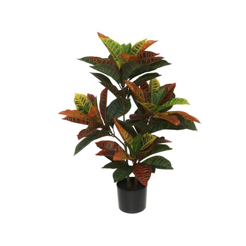 MACETA CROTON 77 CM