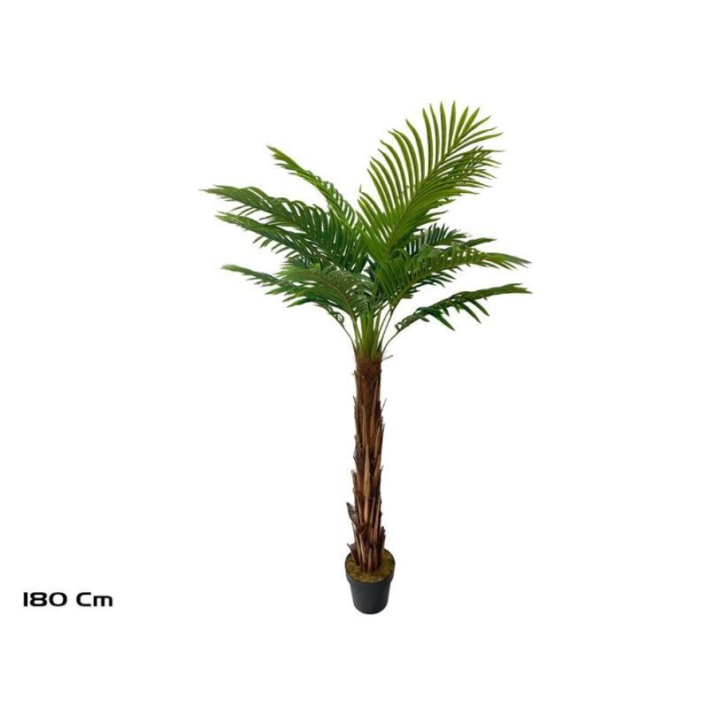 PLANTA PALMERA T/COCO X18 - 180 CM