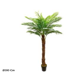 PLANTA PALMERA T/COCO X21 - 200 CM