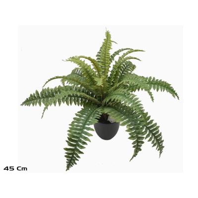 MACETA BOSTON FERN X25 LVS - 45 CM