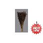 MUNNI GRASS MARRON OSC 200 GR 50-85H CM