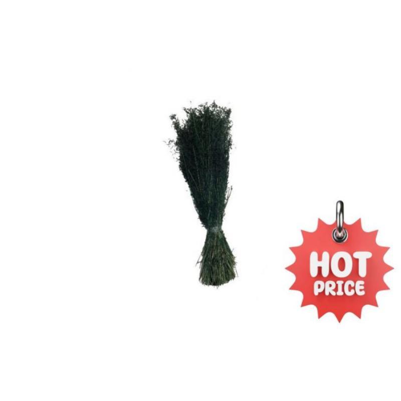 MUNNI GRASS VERDE OSC 200 GR 50-85H CM